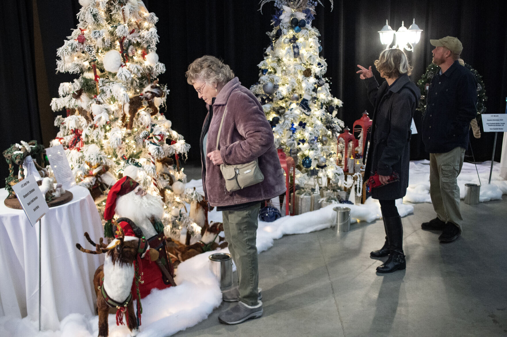 Festival of Trees